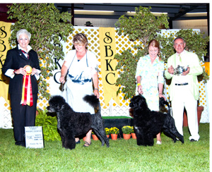 2010 Breeders Showcase Santa Barbara Working Group 1 Judge Carol Grossman CH Ladybug and CH Asta